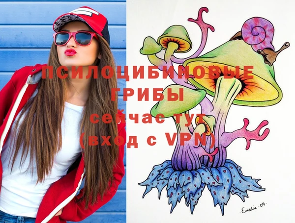 индика Семикаракорск