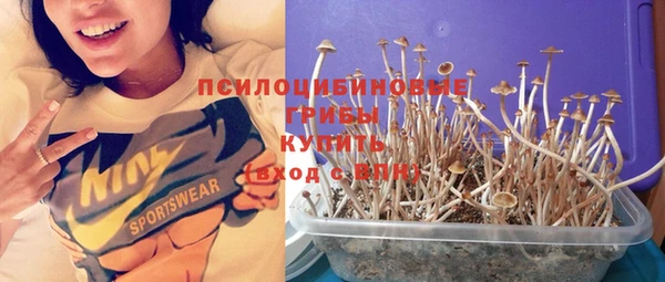 индика Семикаракорск