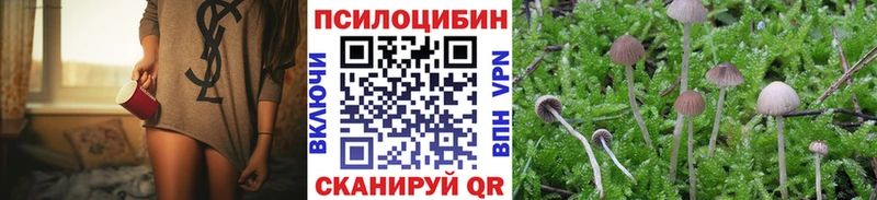 где купить   Льгов  Галлюциногенные грибы Cubensis 
